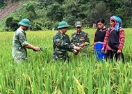 Vietnam’s imprints in promoting and protecting human rights (Part 2)